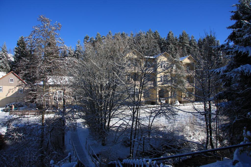 Pension Villa Kassandra Altenau  Bagian luar foto